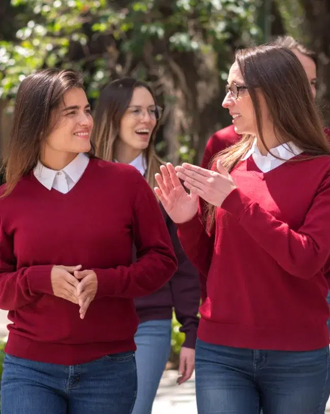 Fluenz Zoom lesson snapshot